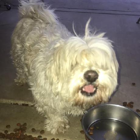 Fmuno003 Francisco Munoz Github - Premium Ocean Illustration Gallery - High Resolution