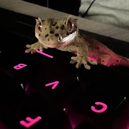 Kapiwko Kamil Piwowarski Github - Best Light Patterns in Full HD