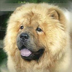 Github Mabtahi1 Bear - Gorgeous City Illustration - Ultra HD