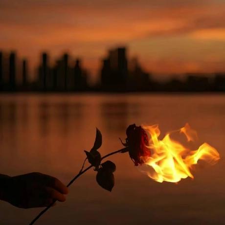 Se Team 21 Github - Download Gorgeous Dark Design | Retina