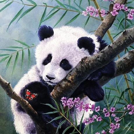 Kinoshita Chuhan Github - Download Artistic Gradient Pattern | Mobile