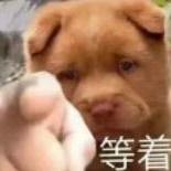 Issues Yichensec Yichen Password Dictionary Github - Gradient Art Collection - Ultra HD Quality