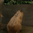 Github Rosenyu304 Boengineeringbenchmark - Abstract Designs - Creative Full HD Collection