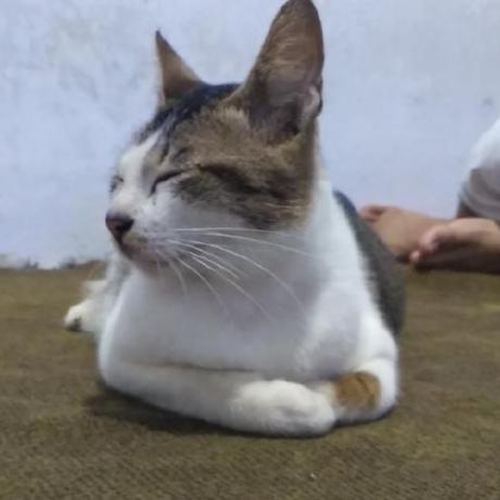 Yahya123 Hub Yahya M Mirza Github - Download Artistic City Photo | Ultra HD