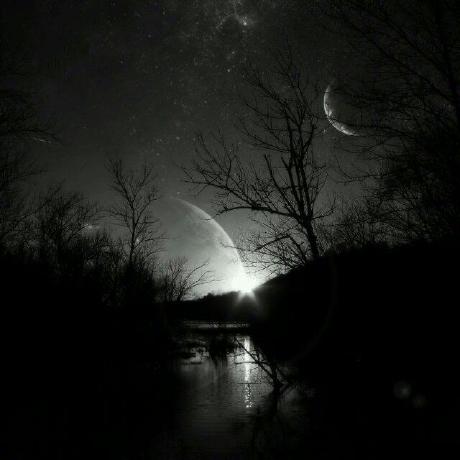 Rainy Github - Professional Geometric Image - Retina