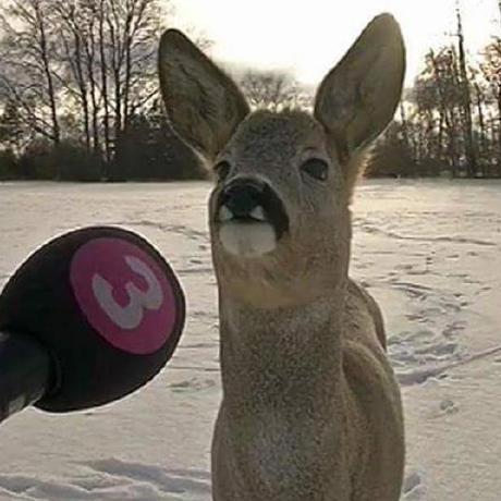 Dearnarakorn Narakorn D Github - Download Premium Landscape Wallpaper | High Resolution