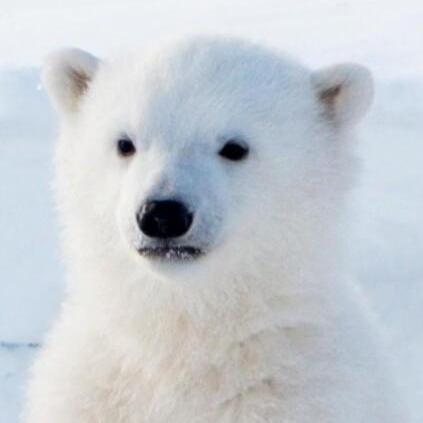 Pure01fx Fx Lingyi Github - Abstract Patterns - Incredible Retina Collection