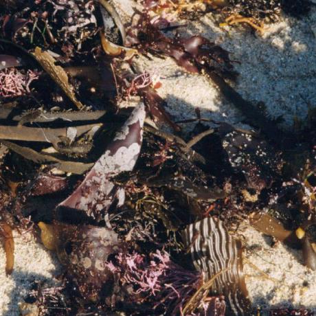 Cbell Teletype - Artistic HD Mountain Arts | Free Download