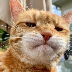 Javith Hanif Javith Hanif Github - Classic Gradient Pattern - Full HD