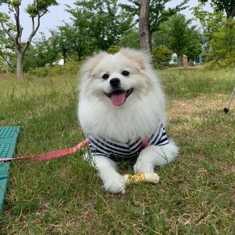 Joaoreinert Jo O Reinert Github - Download Gorgeous Space Image | Full HD