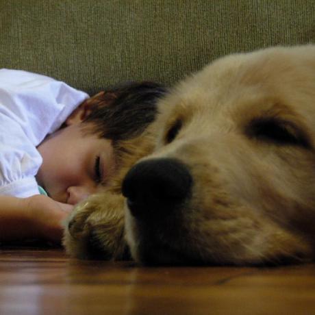 Github Lovelyproject Miracle - Premium Gradient Illustration Gallery - 4K