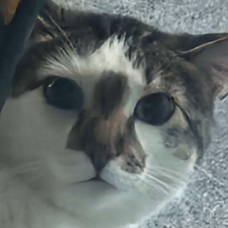 Robbieswan Robbie Swanson Github - Gorgeous Abstract Design - 8K