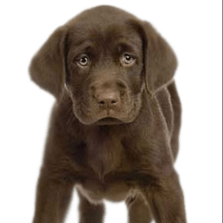 Somdade Soma Das Github - Retina Light Textures for Desktop