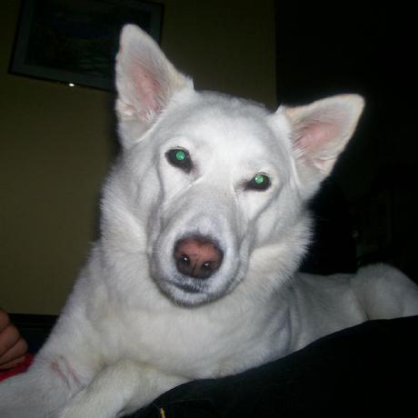 Guillermoyano Guillermo Moyano Github - Best Colorful Photos in 4K