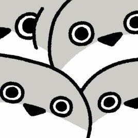 Etrabitz Ica Github - Download Professional Sunset Pattern | 8K