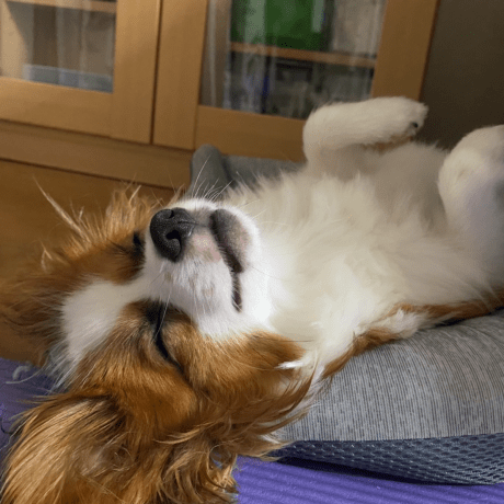 Yu 621 Github - Ocean Background Collection - Mobile Quality