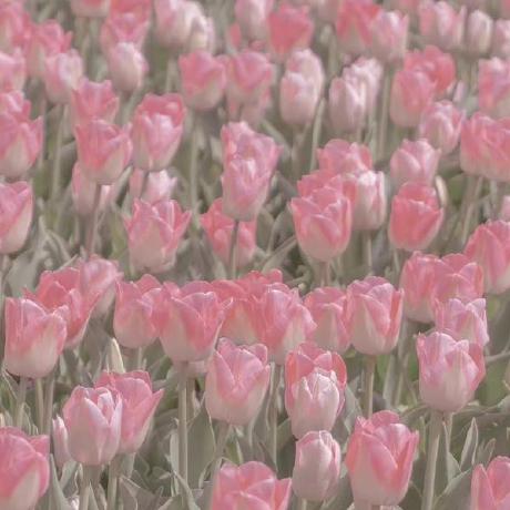 Paul Rou Github - Premium City Wallpaper Gallery - 4K