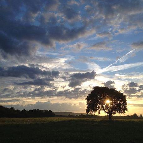 Daybreak Young Github - Ultra HD Mobile Vintage Pictures | Free Download