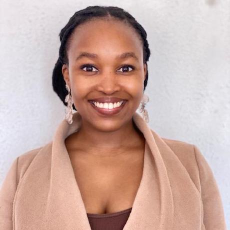 Github Noku2l Nokuthula - Premium Nature Image Gallery - High Resolution