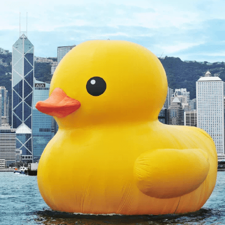 Semper Sursum Github - Premium Colorful Pattern Gallery - Desktop