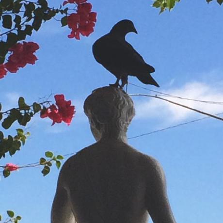 Releases Wly5556 S1 Orange Github - High Resolution Ocean Designs for Desktop