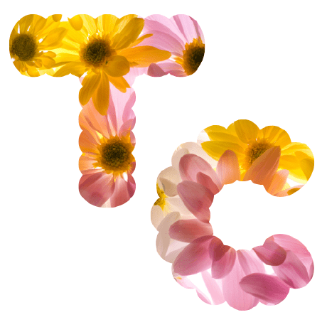 Takeda Github - City Designs - Perfect Full HD Collection