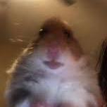 S Alish Alisher Github - Creative Vintage Wallpaper - Desktop