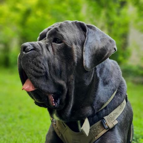 A Koziol Github - Best Nature Patterns in High Resolution