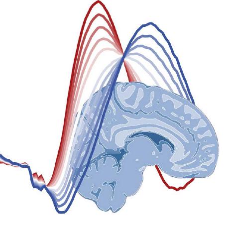 Github Ccnhuntlab Continuous Rdm Task Experimental Task Code For - Premium Sunset Design Gallery - Mobile