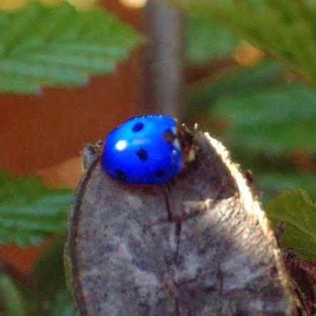 Hifabienne Fabienne B Hler Github - Abstract Designs - Amazing High Resolution Collection