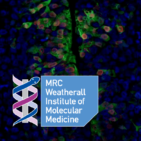 Tsslab Sauka Spengler Lab Github - Ocean Wallpaper Collection - 8K Quality