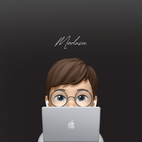 Medusacoding Ronan Chenay Github