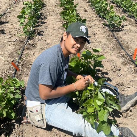 Mildronize Thada Wangthammang Github - Light Patterns - Incredible Retina Collection