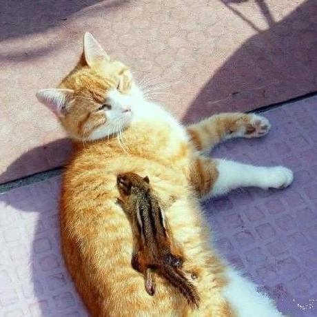 Florentino Ding Florentino Ding Github - Best Gradient Pictures in Mobile