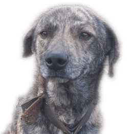 Astonbdev Brian Aston Github - Download Perfect Space Art | HD