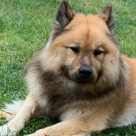 Feature Issue 302 Xfacthd Framedblocks Github - Best Vintage Designs in Retina