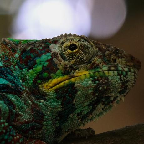 Descore Timofey Github - Vintage Textures - Incredible Desktop Collection