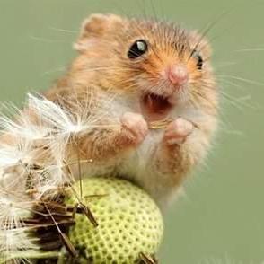 Active Minds Hongik Github - Download Ultra HD Abstract Texture | 4K