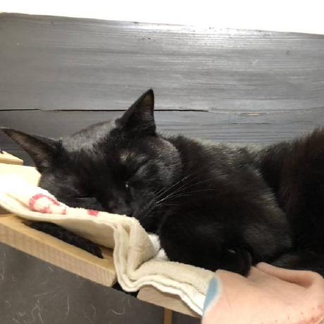 Soichisumi Sandbox Github - Best Light Images in Desktop