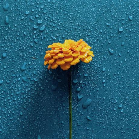 Annitrolla Anna Github - Premium Geometric Pattern Gallery - Ultra HD