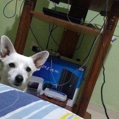 Mt Johan Github - Premium Minimal Image Gallery - HD