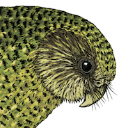 Data Science For Linguists Ling 2340 Fall 2022 Github - Best Abstract Pictures in 8K