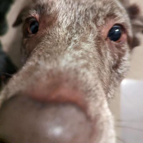 Frieddev Fried Dev Github - Retina Geometric Photos for Desktop