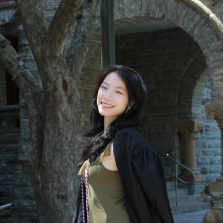 Dinosaur Game Avianna Bui - Premium Sunset Photo Gallery - HD