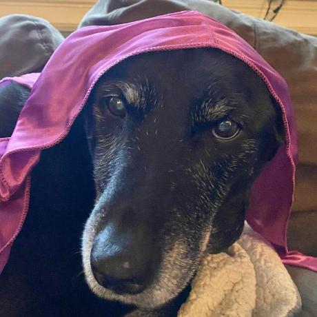 Github Chase1k Reverseshell - Download Elegant Dark Wallpaper | 4K