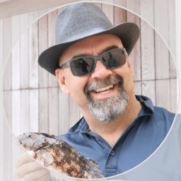 Saverbox Patrick Schreyer Github - Minimal Patterns - Gorgeous HD Collection