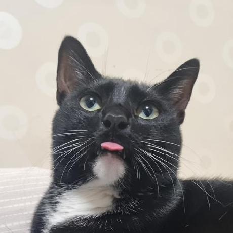 Github Yijeongseop Auto Checklist Windows Checklist App That - Premium Colorful Design Gallery - Ultra HD