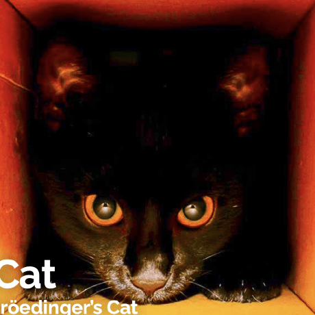 Openwrtkitty Open Kitty Github - Download Professional Ocean Wallpaper | Ultra HD