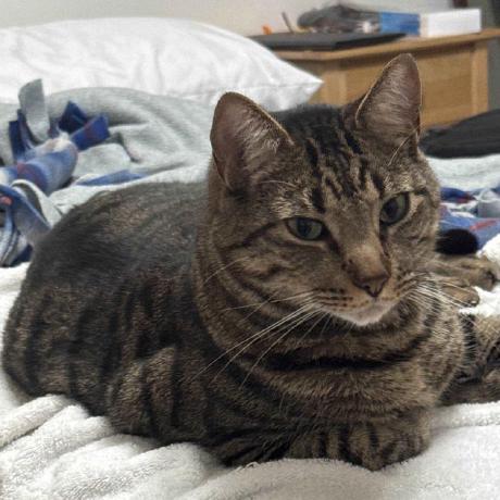 Hatu57 Thomas Github - Geometric Pictures - Beautiful 8K Collection