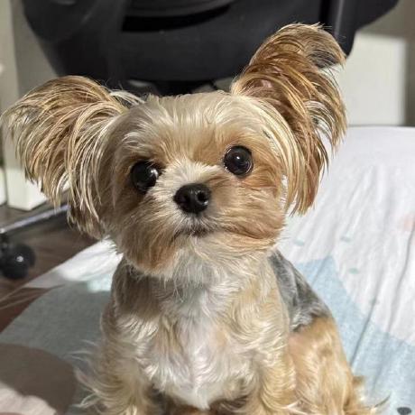 Beatricekaycee001 Github - Modern Nature Wallpaper - Retina